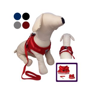 ARNES Y CORREA P/PERRO 5495-1 L 16CM RD/BL/BK/GY - Imagen 1