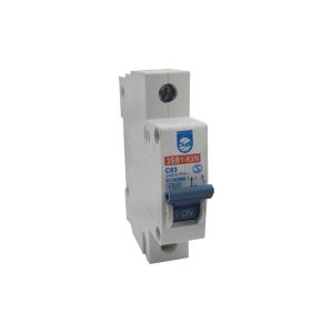 FLIPON CILES PARA RIEL 1 POLO 63A 240/415V - Imagen 1