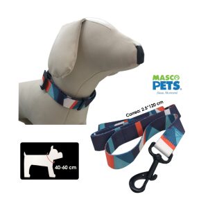 COLLAR Y CORREA P/PERRO GRANDE 2.50CM - Imagen 1